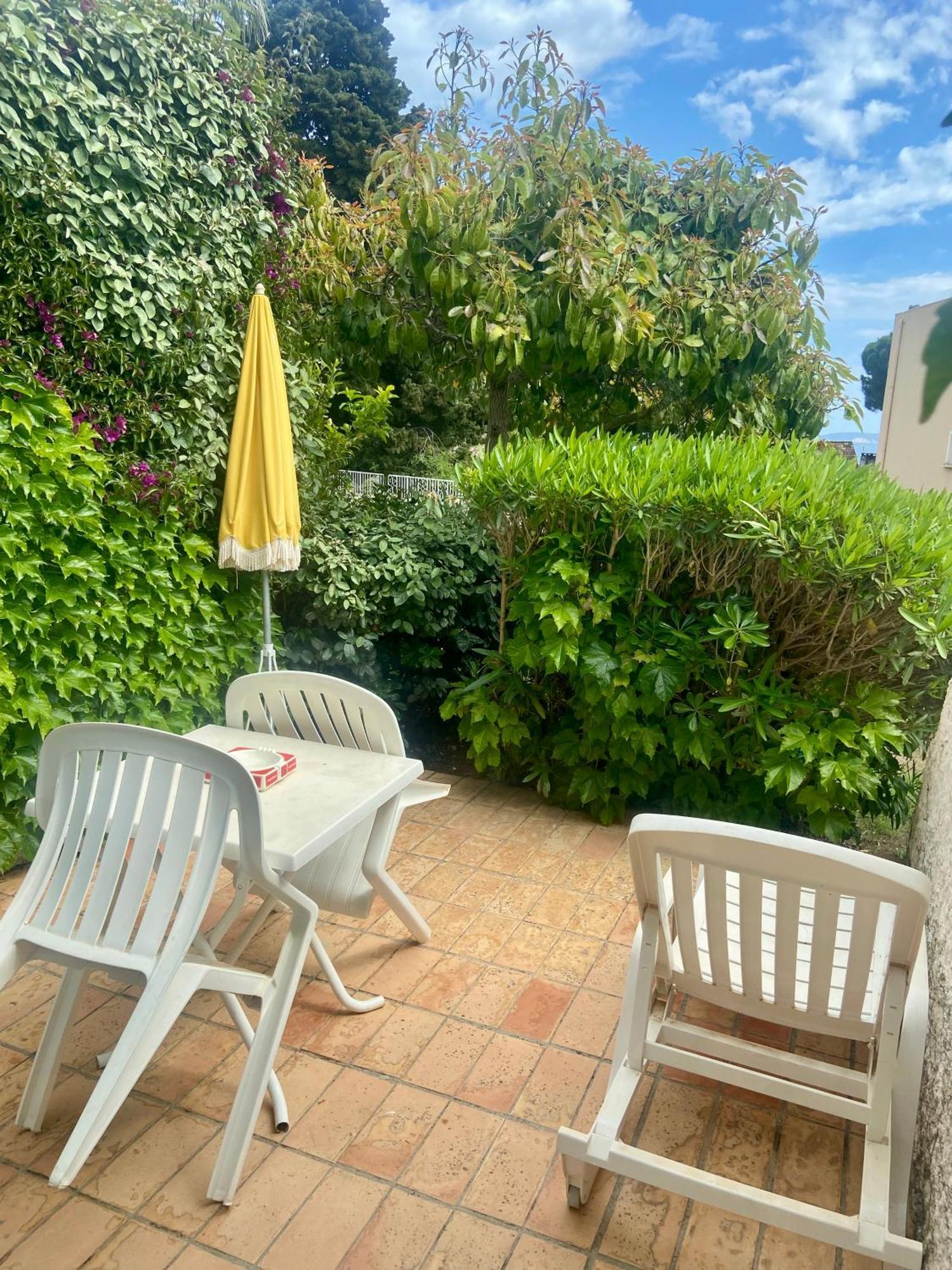 Les Alcyons Hotel Le Lavandou Exterior foto