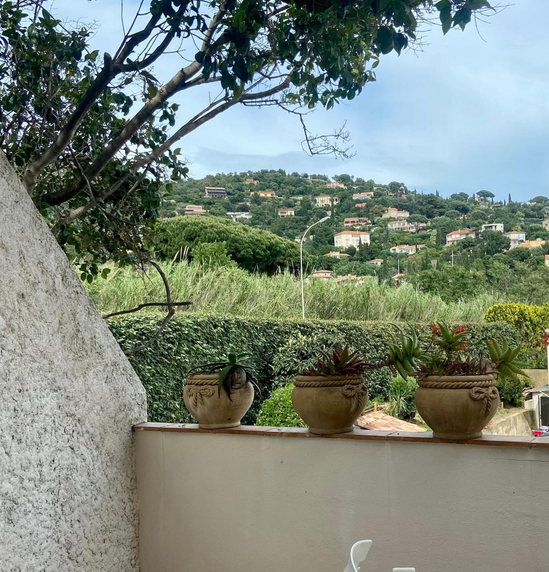 Les Alcyons Hotel Le Lavandou Exterior foto